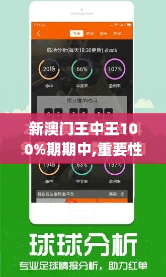 新澳门王中王100%期期中,重要性解析方法_精简版1.732