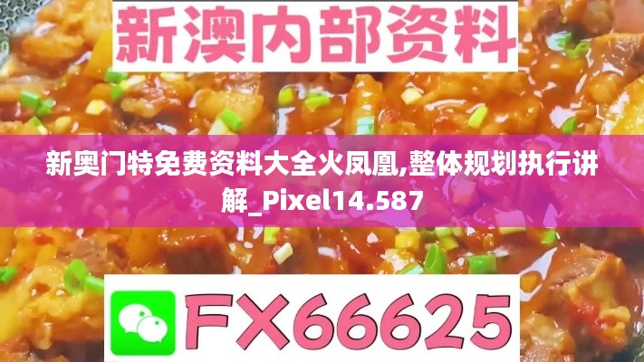 新奥门特免费资料大全火凤凰,整体规划执行讲解_Pixel14.587