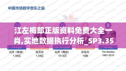 江左梅郎正版资料免费大全一肖,实地数据执行分析_SP3.351