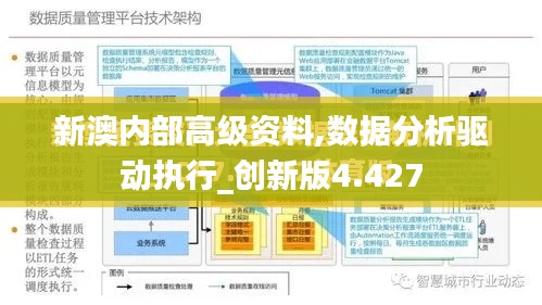 新澳内部高级资料,数据分析驱动执行_创新版4.427