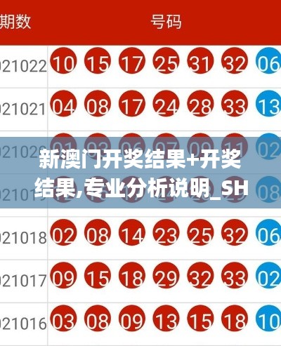 新澳门开奖结果+开奖结果,专业分析说明_SHD2.782
