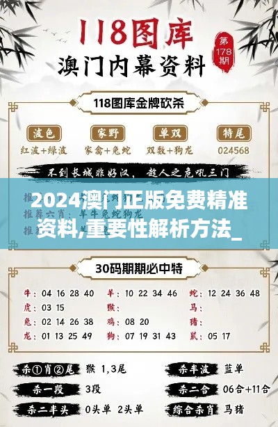 2024澳门正版免费精准资料,重要性解析方法_苹果版7.185