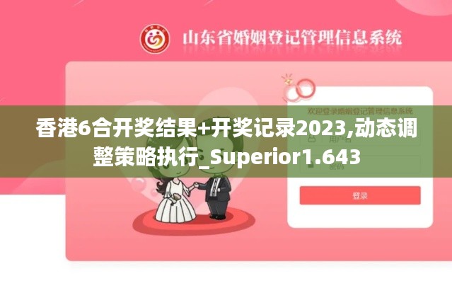 香港6合开奖结果+开奖记录2023,动态调整策略执行_Superior1.643