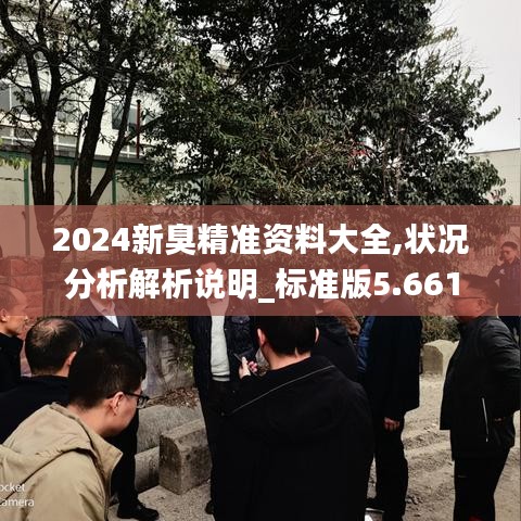 2024新臭精准资料大全,状况分析解析说明_标准版5.661