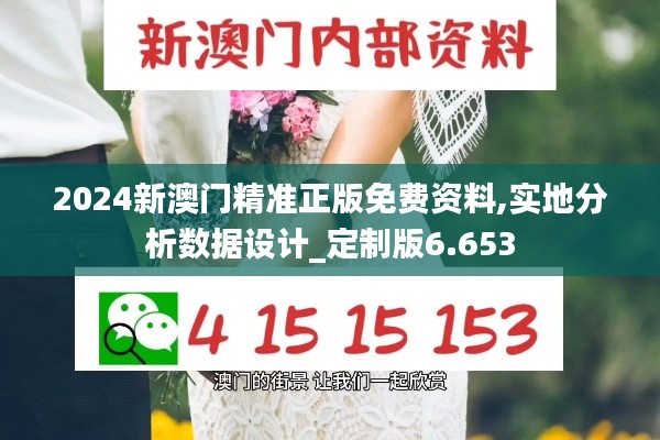 2024新澳门精准正版免费资料,实地分析数据设计_定制版6.653