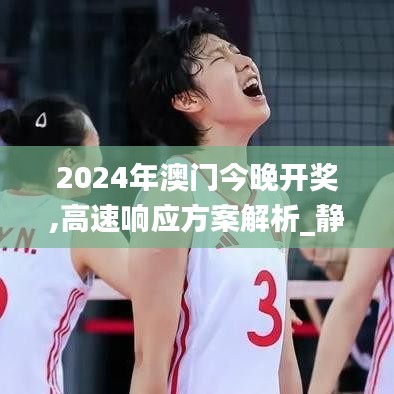 2024年澳门今晚开奖,高速响应方案解析_静态版5.206