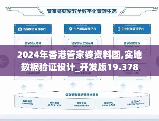 2024年香港管家婆资料图,实地数据验证设计_开发版19.378