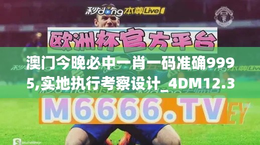 澳门今晚必中一肖一码准确9995,实地执行考察设计_4DM12.382