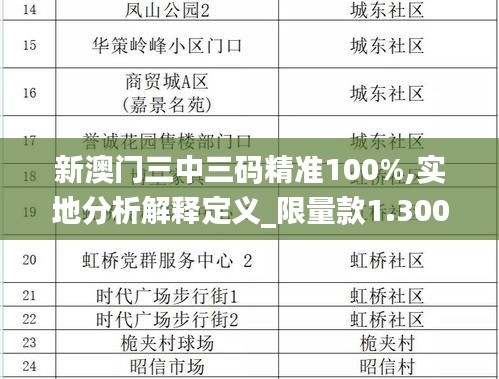 新澳门三中三码精准100%,实地分析解释定义_限量款1.300
