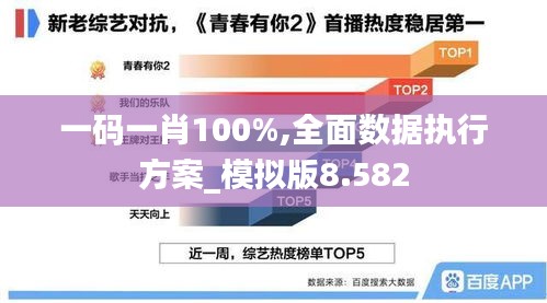 一码一肖100%,全面数据执行方案_模拟版8.582