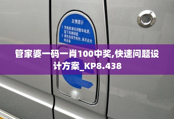 管家婆一码一肖100中奖,快速问题设计方案_KP8.438