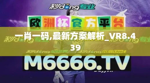 一肖一码,最新方案解析_VR8.439