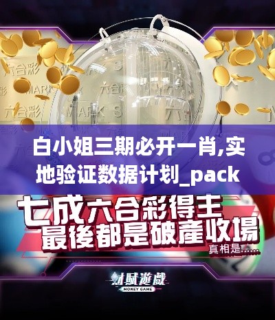 白小姐三期必开一肖,实地验证数据计划_pack13.705