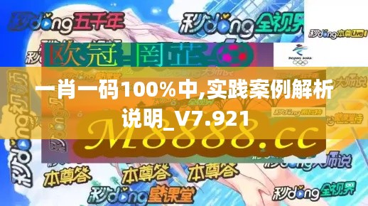 一肖一码100%中,实践案例解析说明_V7.921