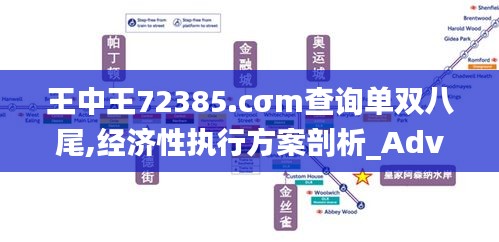 王中王72385.cσm查询单双八尾,经济性执行方案剖析_Advance110.318