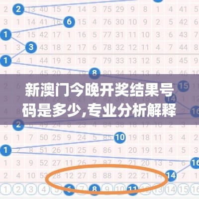 新澳门今晚开奖结果号码是多少,专业分析解释定义_S19.228