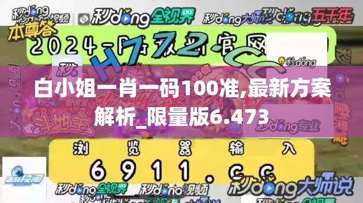 白小姐一肖一码100准,最新方案解析_限量版6.473