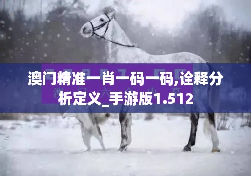 澳门精准一肖一码一码,诠释分析定义_手游版1.512