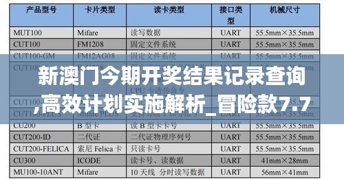 新澳门今期开奖结果记录查询,高效计划实施解析_冒险款7.710