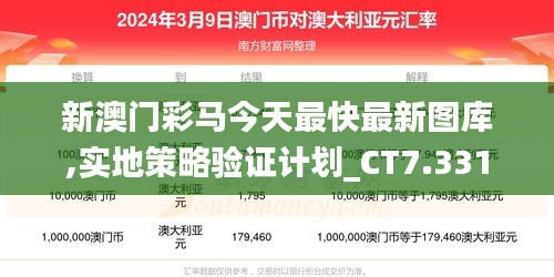 新澳门彩马今天最快最新图库,实地策略验证计划_CT7.331