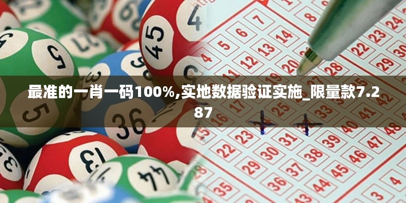 最准的一肖一码100%,实地数据验证实施_限量款7.287