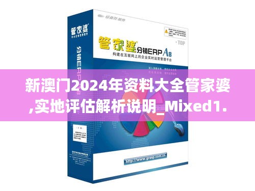 新澳门2024年资料大全管家婆,实地评估解析说明_Mixed1.100