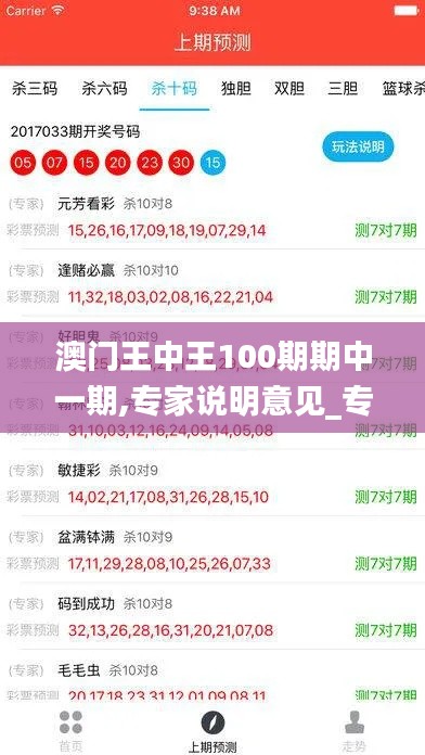 澳门王中王100期期中一期,专家说明意见_专业版6.745