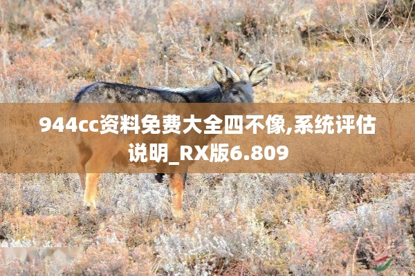 944cc资料免费大全四不像,系统评估说明_RX版6.809