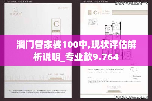 澳门管家婆100中,现状评估解析说明_专业款9.764