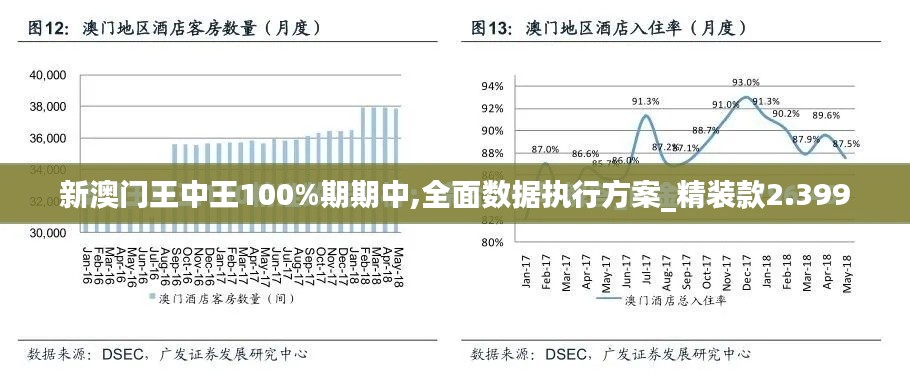 新澳门王中王100%期期中,全面数据执行方案_精装款2.399