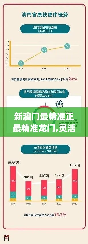 新澳门最精准正最精准龙门,灵活操作方案设计_XP8.219