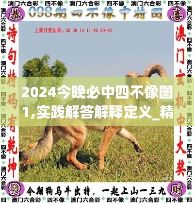 2024今晚必中四不像图1,实践解答解释定义_精简版3.914