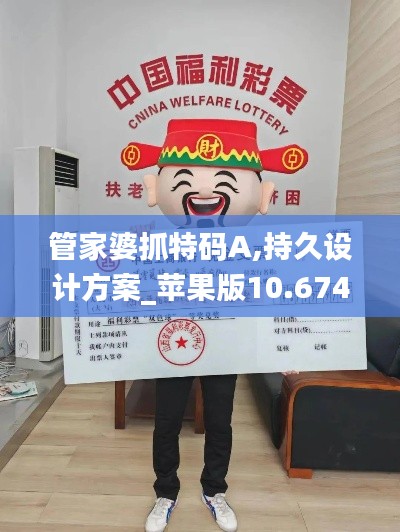 管家婆抓特码A,持久设计方案_苹果版10.674