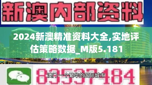 2024新澳精准资料大全,实地评估策略数据_M版5.181
