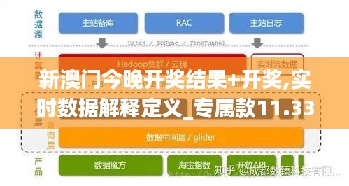 新澳门今晚开奖结果+开奖,实时数据解释定义_专属款11.334