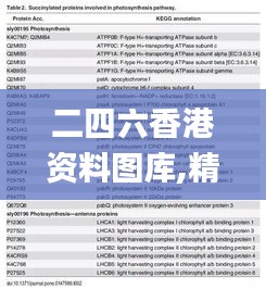 二四六香港资料图库,精细化执行计划_1080p9.655