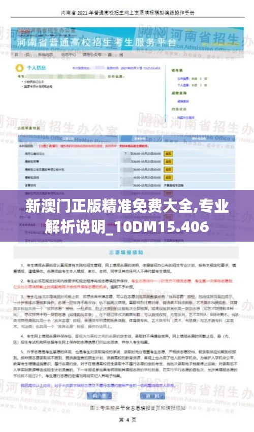 新澳门正版精准免费大全,专业解析说明_10DM15.406