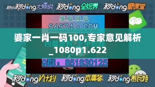 婆家一肖一码100,专家意见解析_1080p1.622
