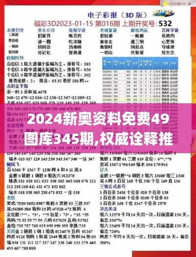 2024新奥资料免费49图库345期,权威诠释推进方式_冒险款6.718