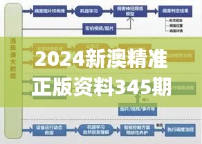 2024新澳精准正版资料345期,灵活操作方案设计_粉丝款4.203