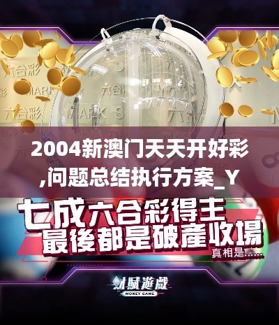 2004新澳门天天开好彩,问题总结执行方案_YE版8.813