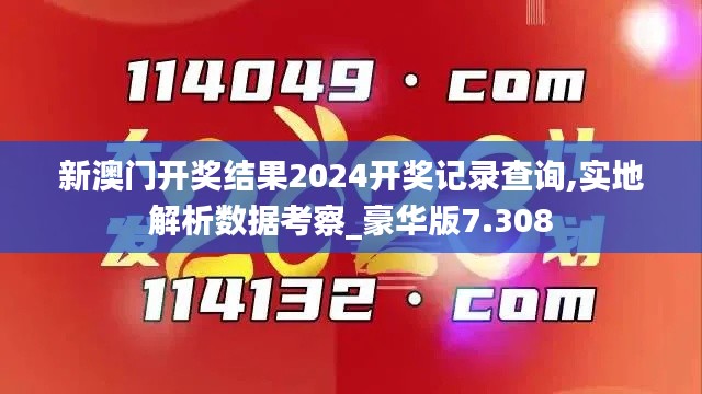 新澳门开奖结果2024开奖记录查询,实地解析数据考察_豪华版7.308