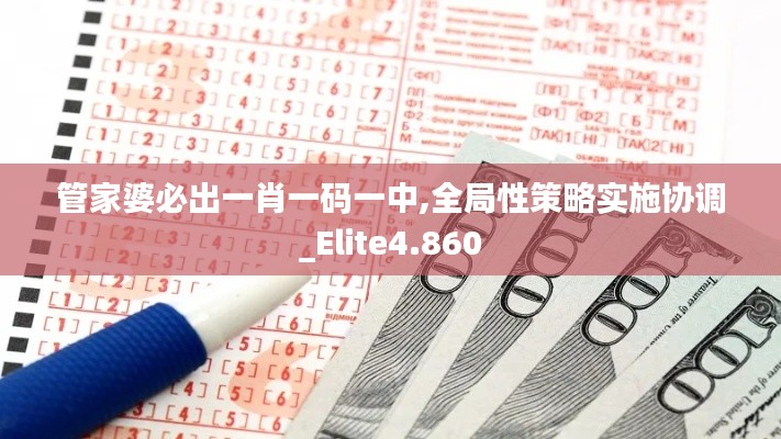 管家婆必出一肖一码一中,全局性策略实施协调_Elite4.860