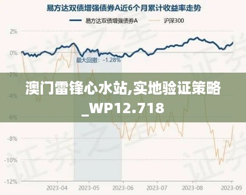 澳门雷锋心水站,实地验证策略_WP12.718