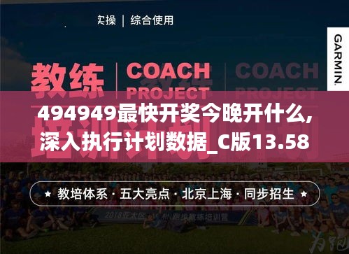 494949最快开奖今晚开什么,深入执行计划数据_C版13.587