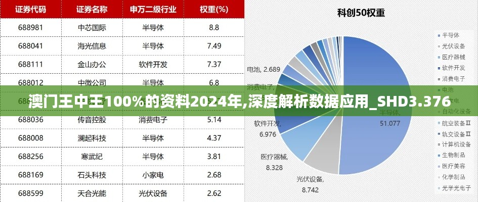 澳门王中王100%的资料2024年,深度解析数据应用_SHD3.376