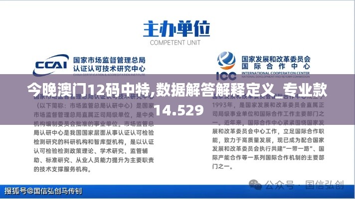 今晚澳门12码中特,数据解答解释定义_专业款14.529