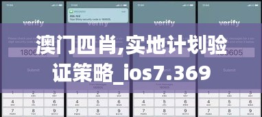 澳门四肖,实地计划验证策略_ios7.369