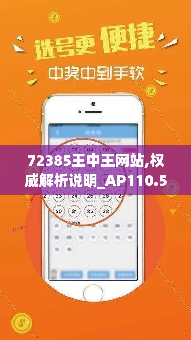 72385王中王网站,权威解析说明_AP110.589