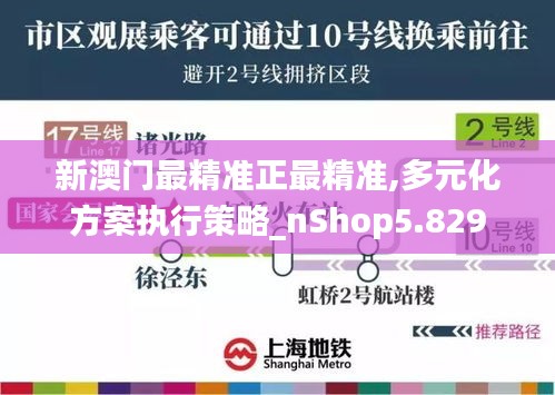 新澳门最精准正最精准,多元化方案执行策略_nShop5.829